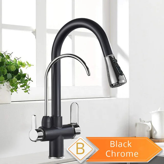 Rozin Two In One Filter Kitchen Faucet With Pullout Sprayer
