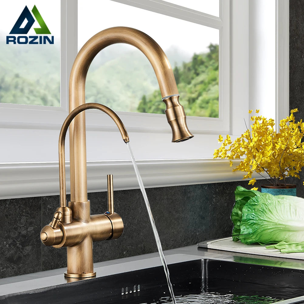 Rozin Two In One Filter Kitchen Faucet With Pullout Sprayer