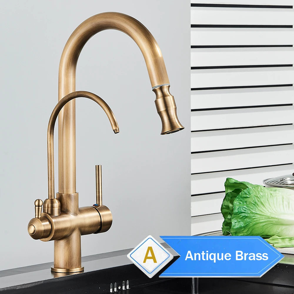 Rozin Two In One Filter Kitchen Faucet With Pullout Sprayer