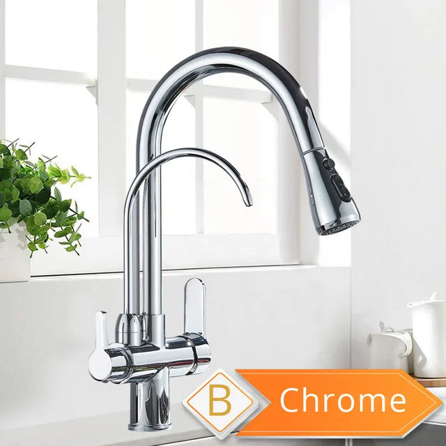 Rozin Two In One Filter Kitchen Faucet With Pullout Sprayer