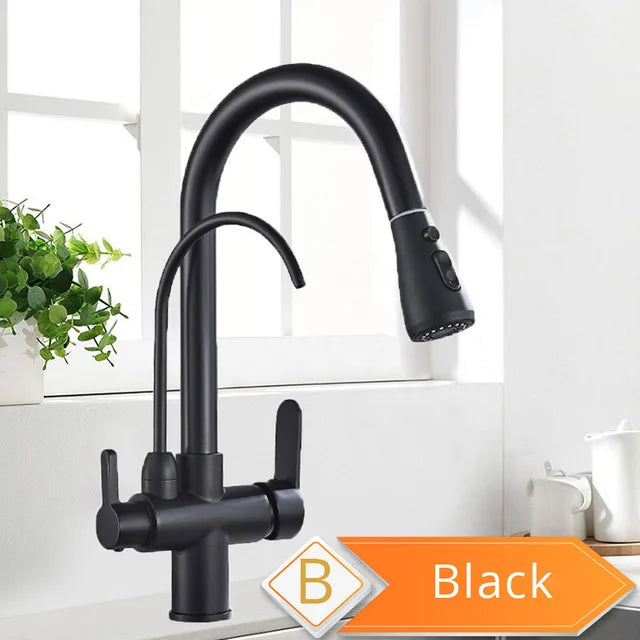 Rozin Two In One Filter Kitchen Faucet With Pullout Sprayer
