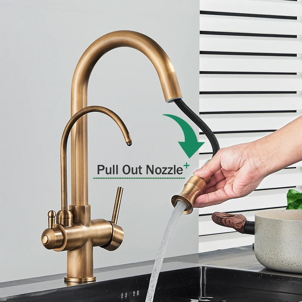 Rozin Two In One Filter Kitchen Faucet With Pullout Sprayer
