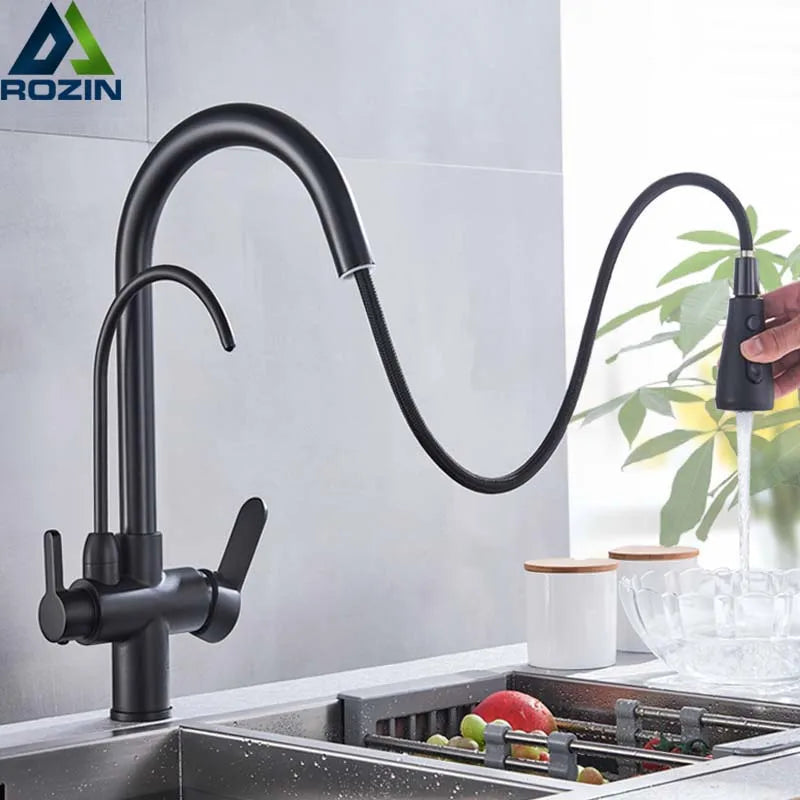 Rozin Three Way Pull Out Kitchen Water Filter Faucet