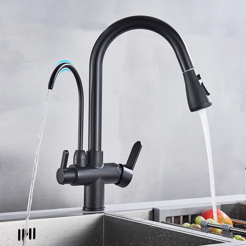 Rozin Three Way Pull Out Kitchen Water Filter Faucet