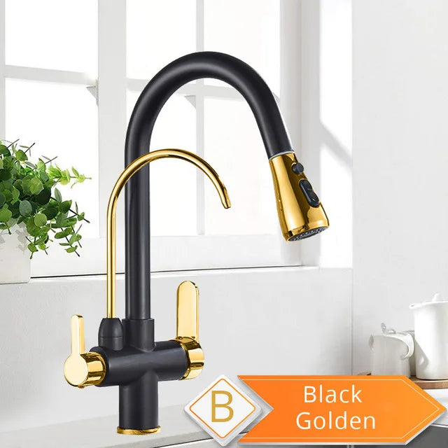 Rozin Three Way Pull Out Kitchen Water Filter Faucet