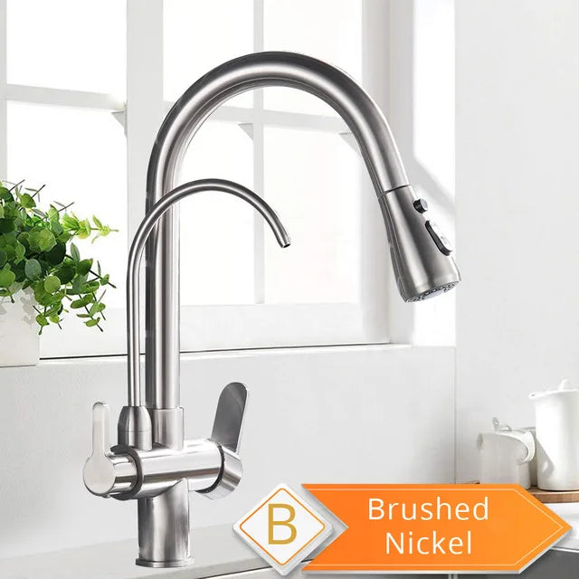 Rozin Two In One Filter Kitchen Faucet With Pullout Sprayer