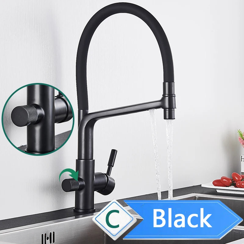 Rozin Three Way Pull Out Kitchen Faucet With Water Filter