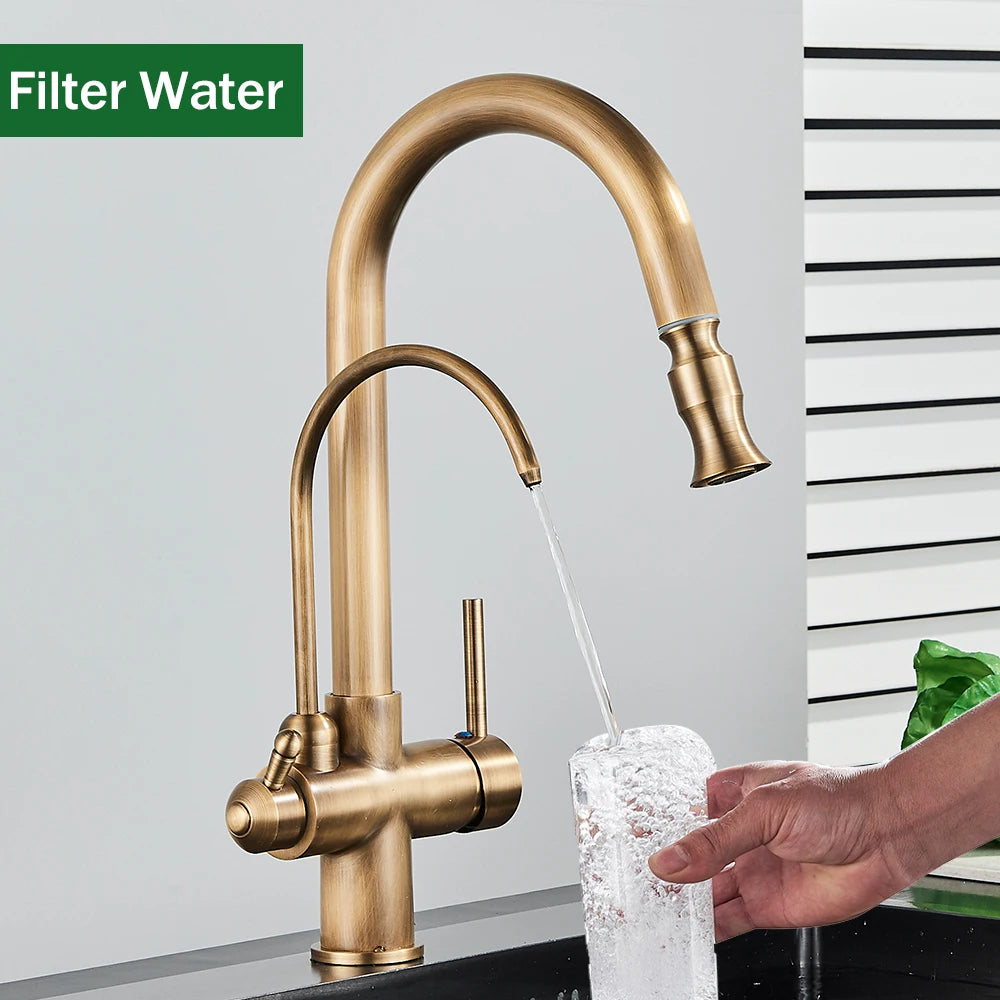 Rozin Two In One Filter Kitchen Faucet With Pullout Sprayer