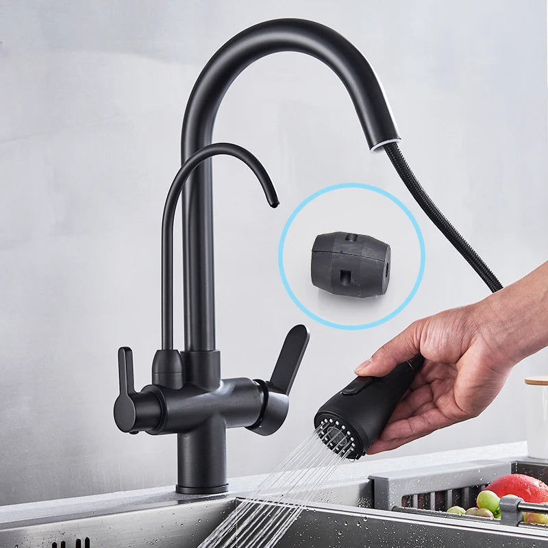 Rozin Three Way Pull Out Kitchen Water Filter Faucet