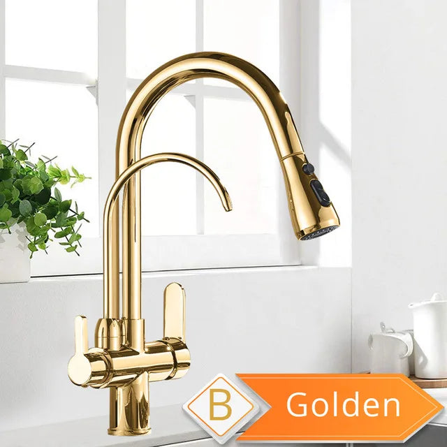 Rozin Two In One Filter Kitchen Faucet With Pullout Sprayer
