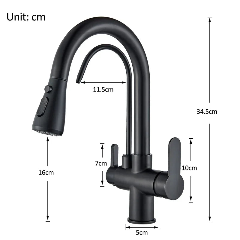 Rozin Three Way Pull Out Kitchen Faucet With Water Filter
